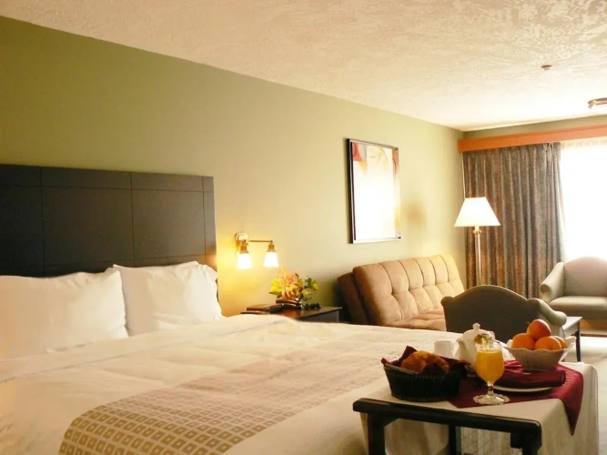 Standard Double Club room