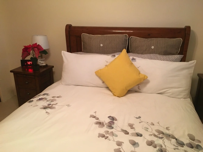 1 Bedroom Comfort Apartment