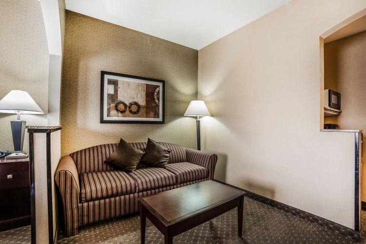Suite