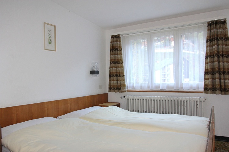 Standard Double room with balcony and with mountain view