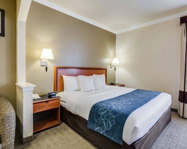 Business Double Suite