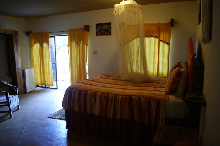 1 Bedroom Suite