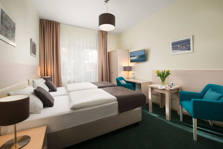 Standard Double room