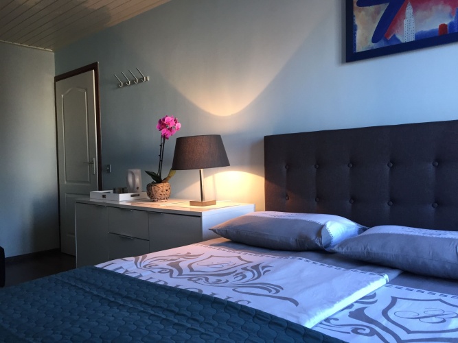 Deluxe Double room with garden view
