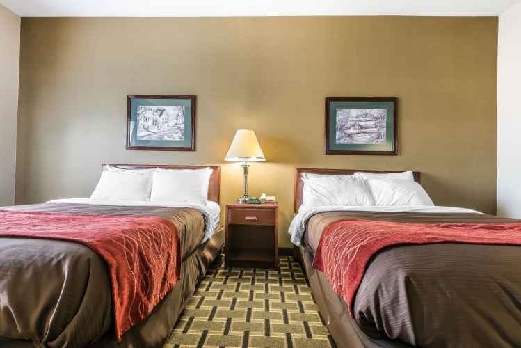 Standard Quadruple room