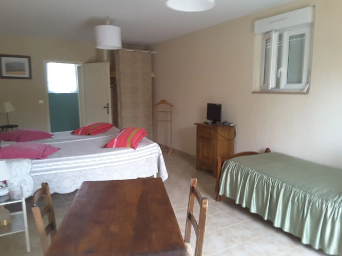 Standard Quadruple room with garden view