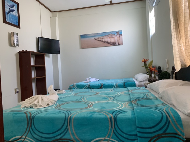 Standard Quadruple room with garden view