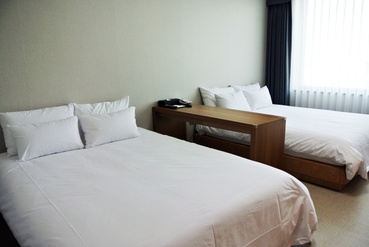 Deluxe Twin Family room