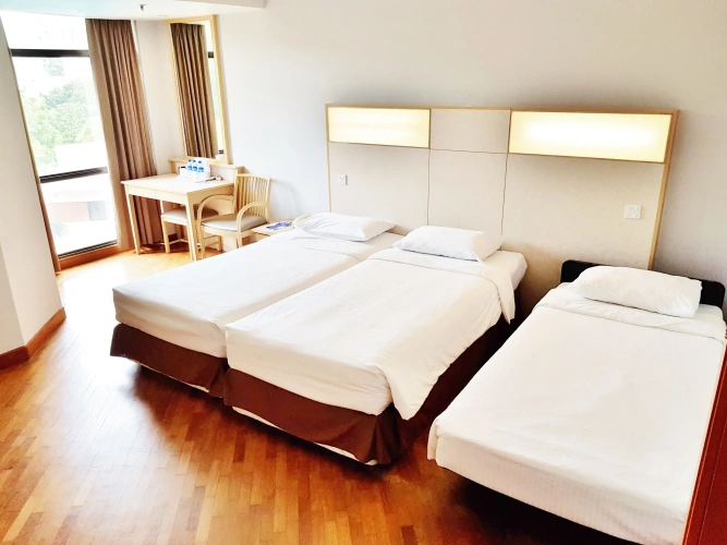 Deluxe Triple room