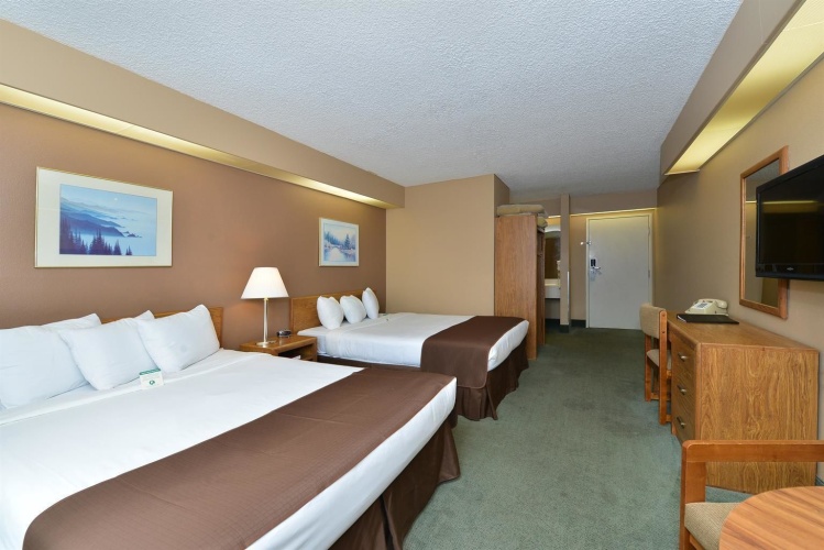 Quadruple Suite