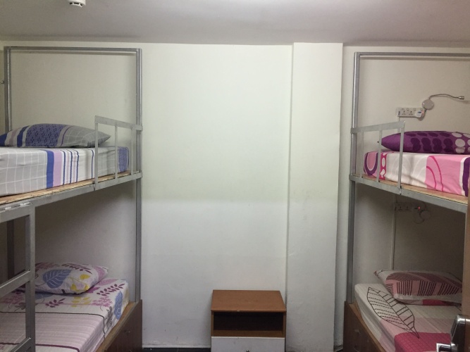 Bed in Dorm