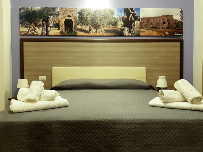 Standard Double room