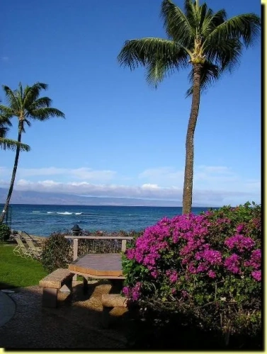 1 Bedroom Standard room with balcony and with ocean view