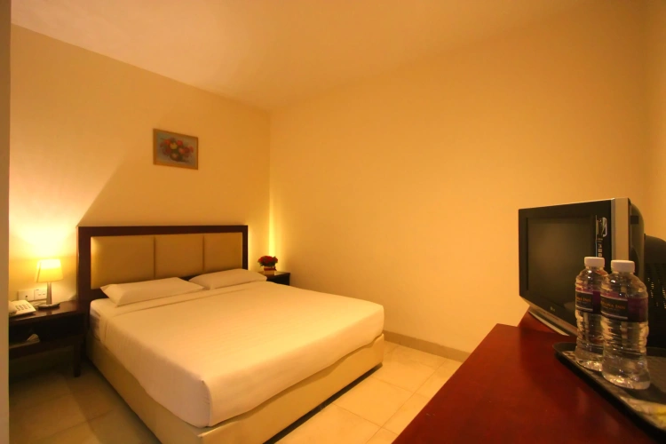 Standard Twin room with view