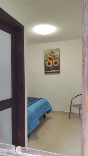 Standard Double room with garden view