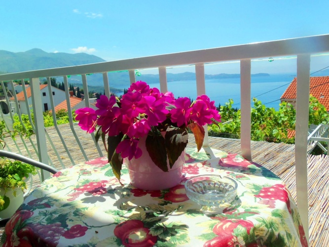 Standard Double room with balcony and with sea view