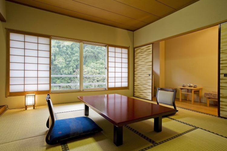 Standard Double room with mountain view
