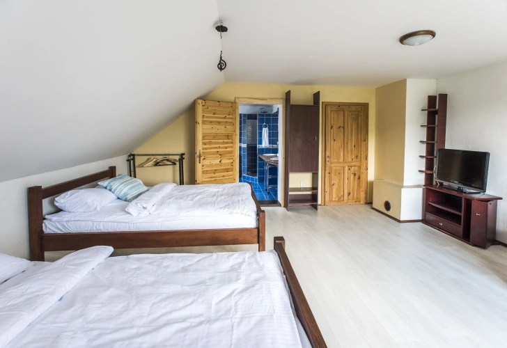 Comfort Quadruple room with mountain view