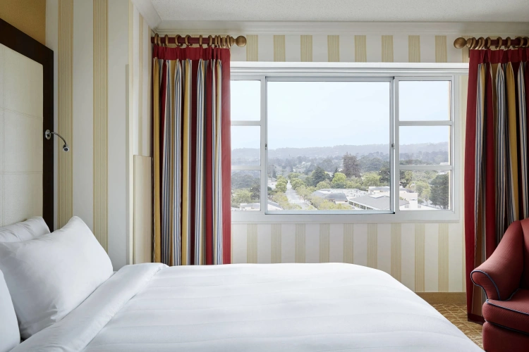 1 Bedroom Junior Suite