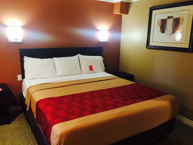 Deluxe Double room with pool view