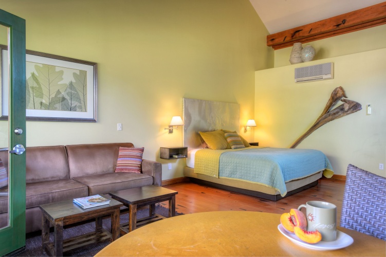 Standard Single room with pool view