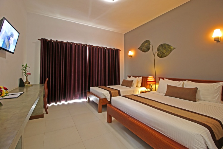 Deluxe Twin room with balcony and with view