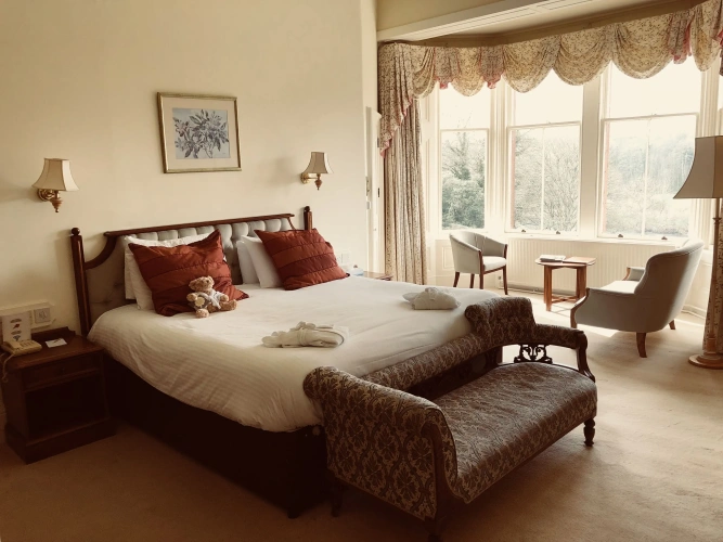 Deluxe Double room with river view