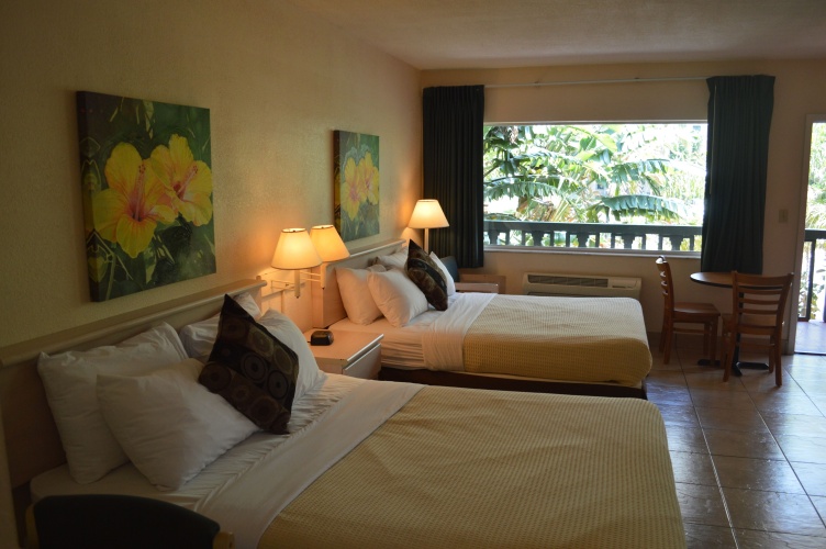 Standard Double room with balcony and with view