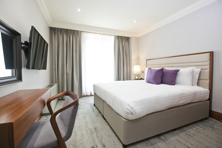 1 Bedroom Luxury Apartment