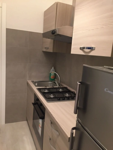Double Apartment