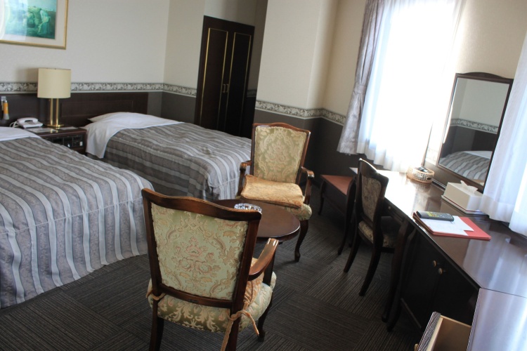 Deluxe Twin room with city view