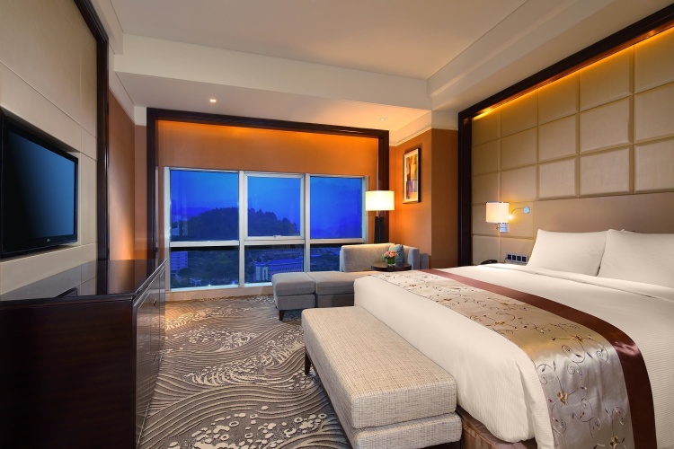 Premier Double Suite