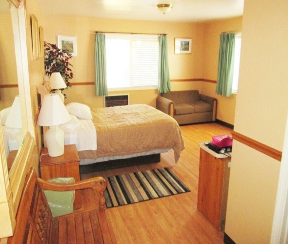 Standard Double room with garden view