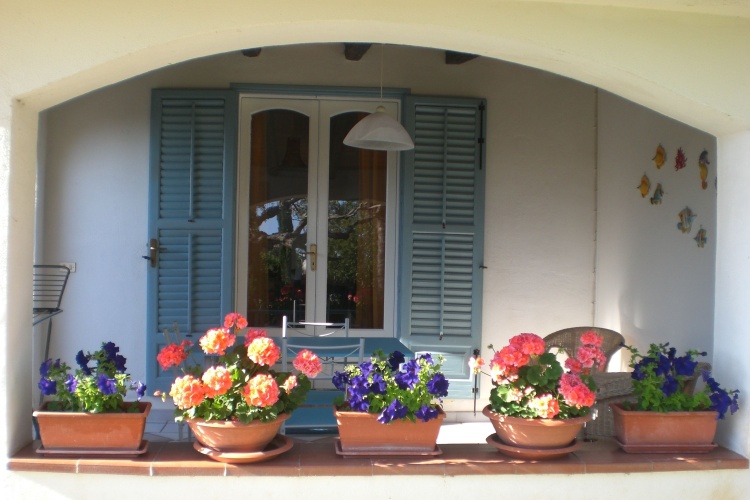 Double Apartment with garden view