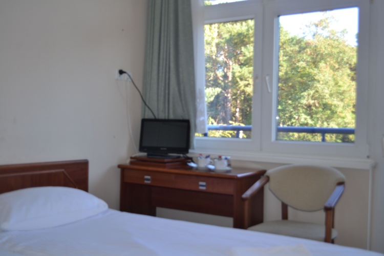 Standard Double room with balcony