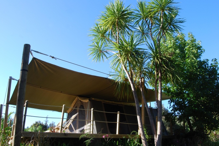 Tent