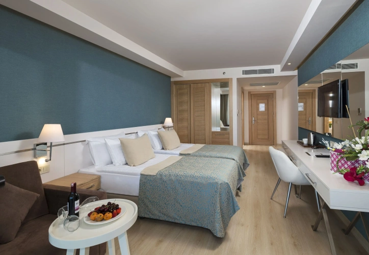 Standard Twin room with land view