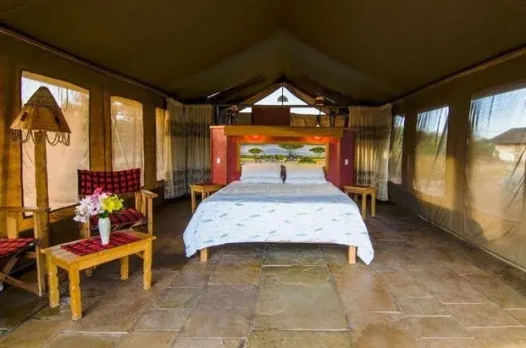 Standard Single room with mountain view