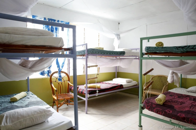 Bed in Dorm