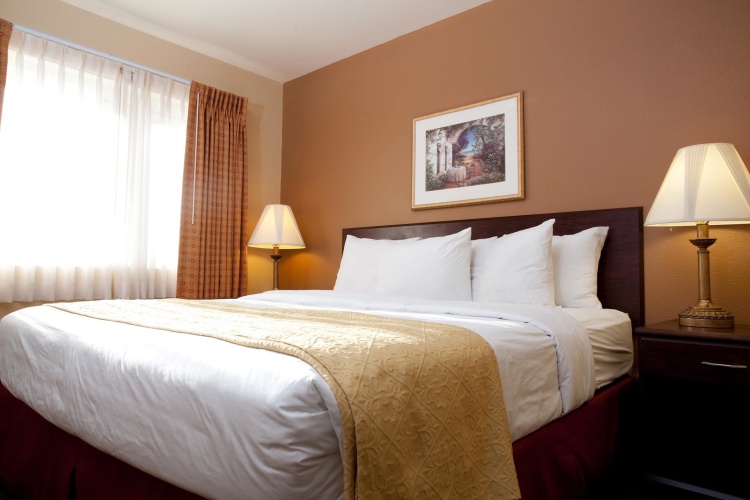 1 Bedroom Suite