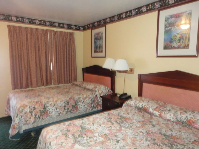 Standard Double room
