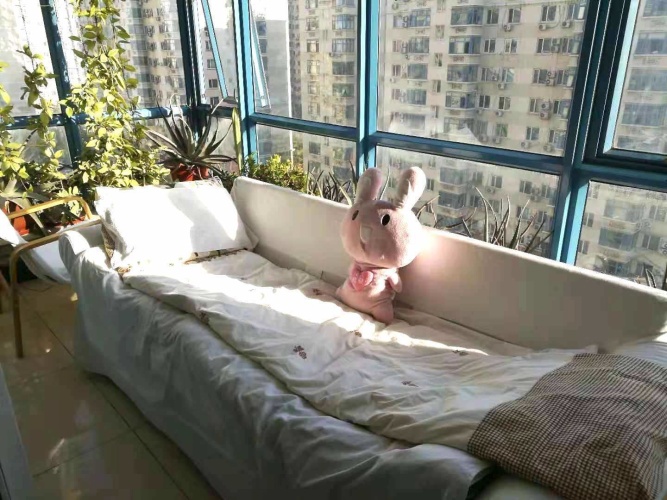 Single Apartment