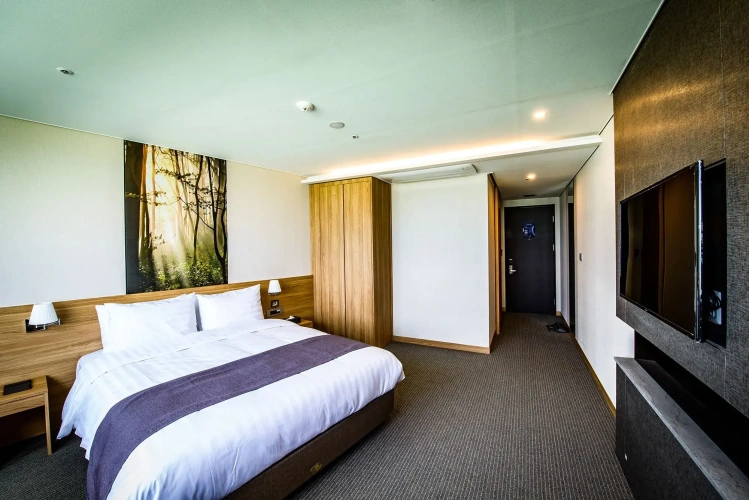 Deluxe Double room City