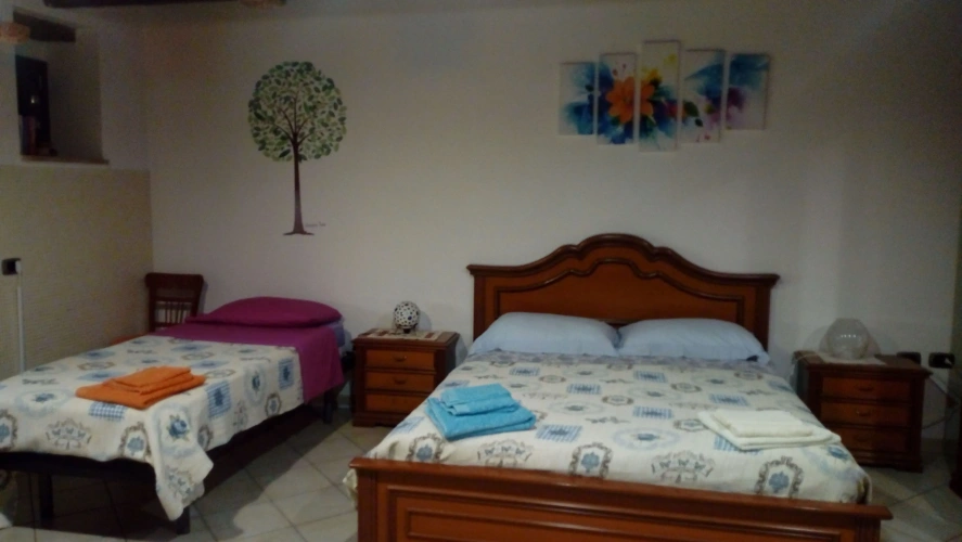Comfort Quadruple Basement room