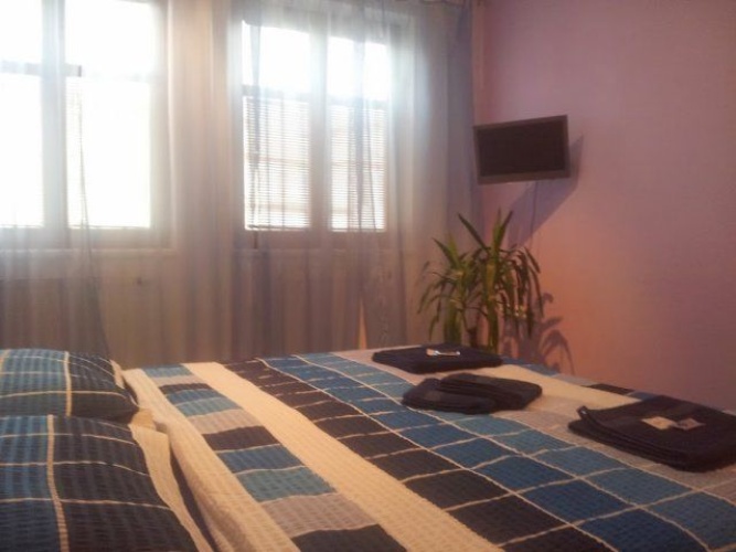 Standard Apartment