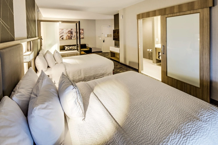Suite