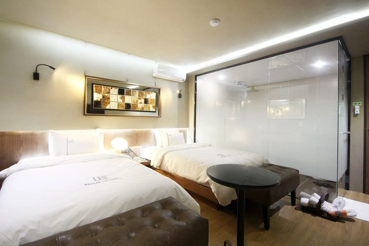 Twin Suite
