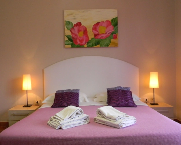 Standard Double room with garden view