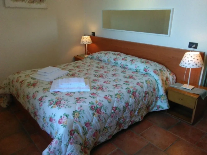 Standard Double room with land view