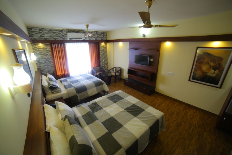 Deluxe Double room